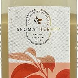 Bath & Body Works Aromatherapy Energy - Orange + Ginger Body Wash & Foam Bath, 10 Fl Oz